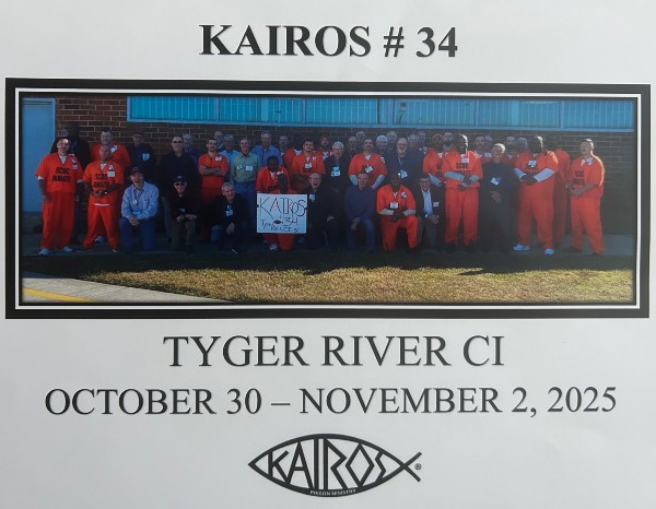 Kairos Tyger men